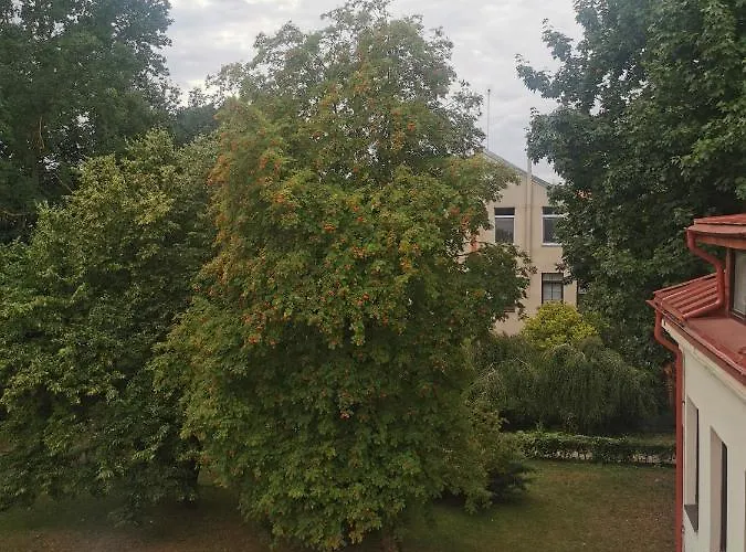 דירה Charming In Old Town With Balcony קובנה